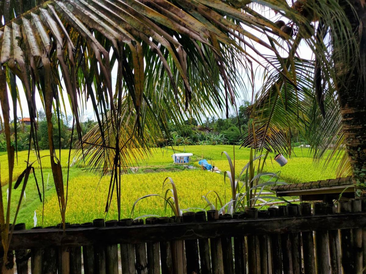 Kakau Villa 2 - Ubud Exterior photo